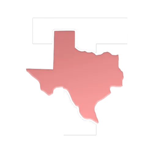 Texas State Roleplay logo